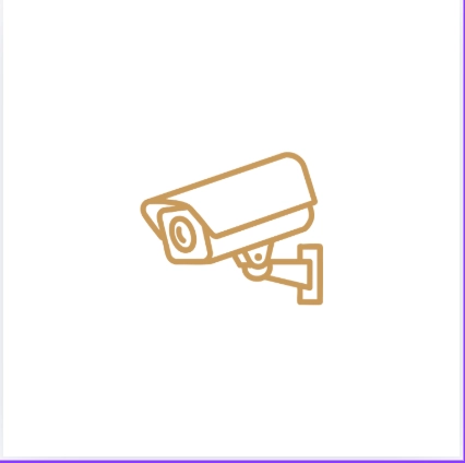 nobel economic township security system
